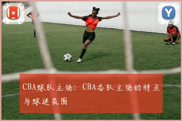 CBA球队主场：CBA各队主场的特点与球迷氛围