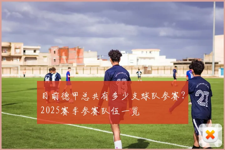 目前德甲总共有多少支球队参赛？2025赛季参赛队伍一览