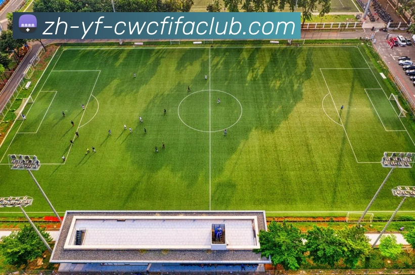 多媒体互动体验