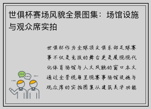 世俱杯赛场风貌全景图集：场馆设施与观众席实拍